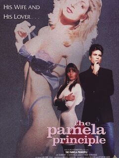 The Pamela Principle