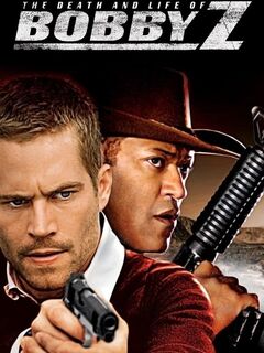 The Death and Life of Bobby Z