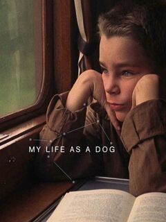 My Life as a Dog