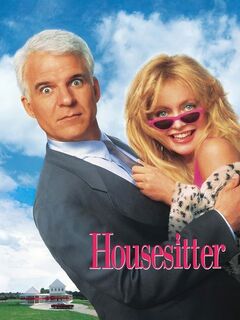 Housesitter