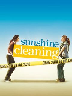 Sunshine Cleaning
