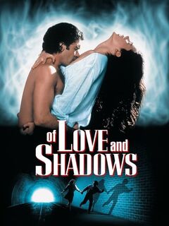 Of Love and Shadows