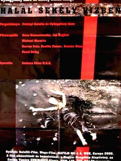 Death in Shallow Water