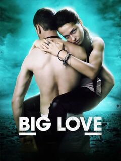 Big Love (2012)