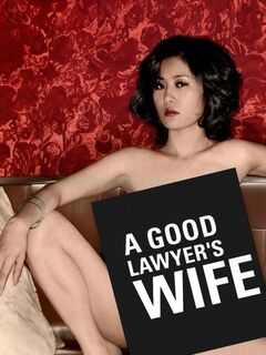 A Good Lawyer's Wife