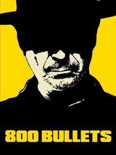 800 Bullets