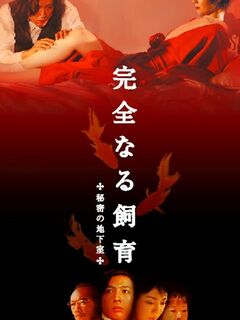 Perfect Education 4: Secret Basement