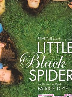 Little Black Spiders