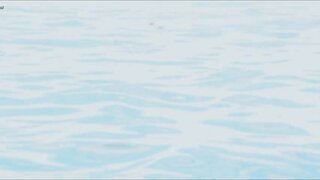 Elke Salverda Nude in water in Amphibious