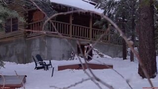 Krystal Davis Nude in Donners Pass