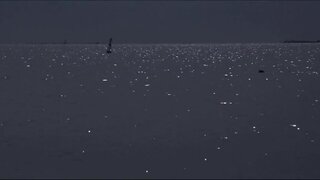 Susan Backlinie Skinny Dipping in Jaws