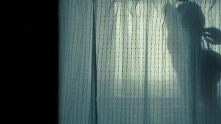 Amanda Seyfried Showering in Gone