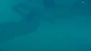 Maiwenn Le Besco and Estelle Lefebure Nudes in the water from Le Bal des Actrices