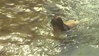 Sophie Marceau Naked in DELETED scenes from Chouans