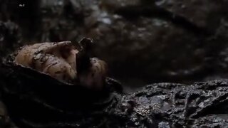 Alison Lohman in wet t-shirt from Drag Me To Hell