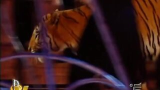 Valeria Marini on Verissimo