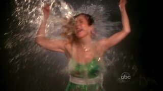 Dana Delany at the 60th Emmy Awards