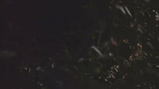 Patricia Tallman Naked outside in Knightriders