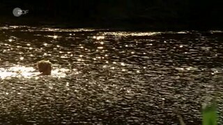 Pauline Knof Completely Naked getting out of the water in Das Geheimniss des Roten Hauses