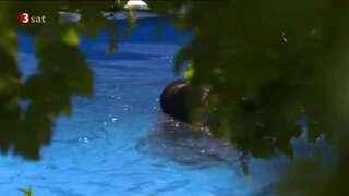 Andrea Eckert Andrea Eckert and Nicole Marischka Nude in Ein Hund kam in die Kuche