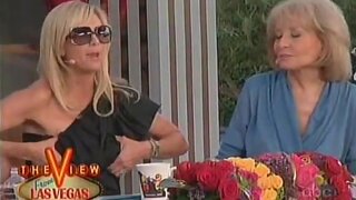 Elisabeth Hasselbeck groping herself on The View clip