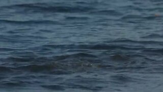 Ashley Judd in swimsuit in Divine Secrets of the Ya-Ya Sisterhood