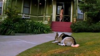 Teresa Willis Nude and Banging in Forgiving the Franklins
