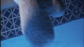 Stephanie Chao stripping down Nude and swimming in pool naked from Jack Frost Revenge of the Killer Mutant Snowman