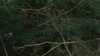 Ruth Milne having Sex in the woods from Hallam Foe