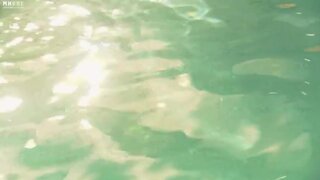Laurel Holloman Topless from The L Word Season 5 Episode 1