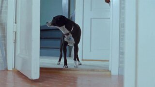 Helene Bergsholm Nude and Masturbating in Turn Me On Dammit