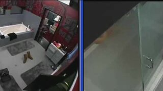 Danielle Donato Tit slip through a gap in the shower on Big Brother 8 US