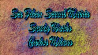 Sandy Wasko Having Sex in Sexual Matrix