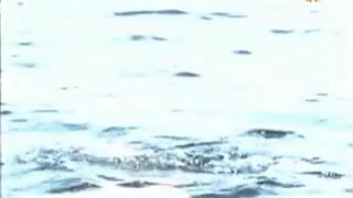 Kathleen Beller Nude in water in Surfacing