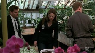 Emily Deschanel on Bones