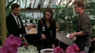 Emily Deschanel on Bones