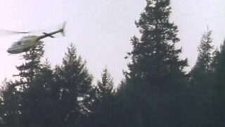 Debbie Rochon Topless and running in Abducted