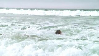 Emily VanCamp in Bikini on Revenge s01e07