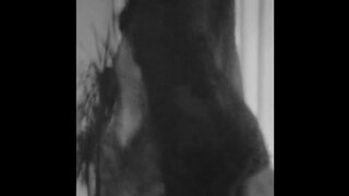 Rose McGowan Nude Full Frontal dancing in Wild Rose