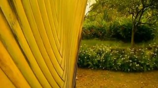 Estelle Desanges Nude in Les Tropiques de Lamour