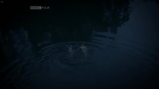 Rosamund Pike and Rachel Sterling Completely Nude from Women in Love Part 2