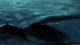 Theresa Russell Nude and Having Sex in Black Widow