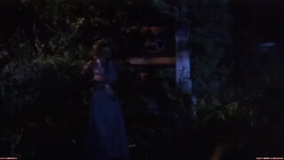 Virginia Madsen and others Naked in The Hot Spot