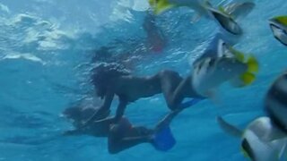 Joanna Bacalso Nude from Das Traumschiff Tahiti
