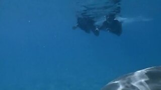 Joanna Bacalso Nude from Das Traumschiff Tahiti