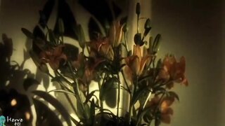 Ana Claudia Talancon Fully Nude and Screwing in Purgatorio