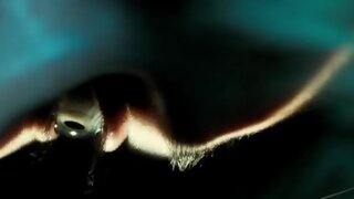 Sabrina Reiter Nude from In 3 Tagen bist du tot 2