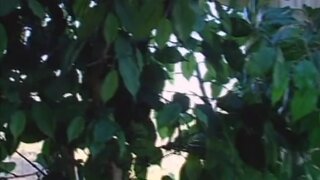 Amber Newman Nude and Having Sex in Regina Price Affair