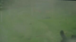 Michelle Williams Bare Breasts and Having Sex in Incendiary