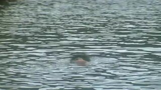 Sandra Teles Completely Nude in Backwaters